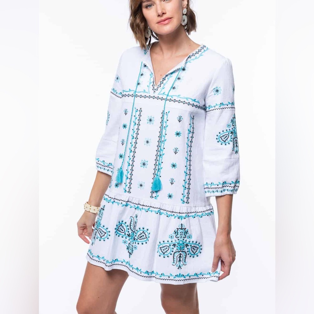 Tyler Boe embroidered cotton long sleeve mini dress NWT size L